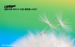 雨林木风win11 64位 免激活优品普通版v2021.12